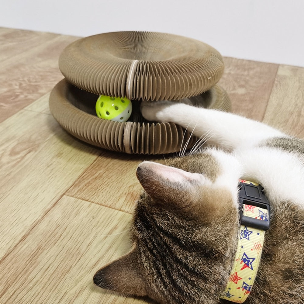 Katzenspielzeug aus Pappe mit Ball, interaktiv und langlebig. Perfekt für Katzen zum Spielen und Kratzen. Fördert Aktivität und Spaß.