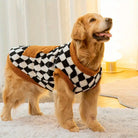 Goldener Retriever im karierten Hundemantel, stehend auf Teppich. Stilvoller Hundepullover, ideal für kalte Tage. Haustiermode, Hundebekleidung.