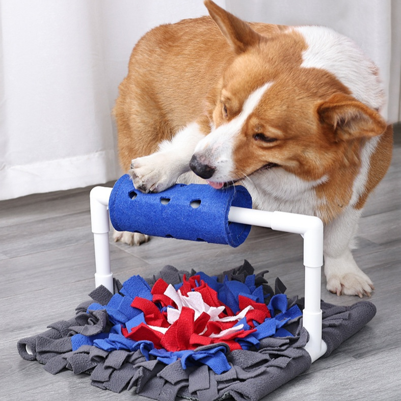 Corgi spielt mit interaktivem Hundespielzeug aus Filz und PVC, fördert mentale Stimulation und Beschäftigung, ideal für Haustiertraining und Spaß.