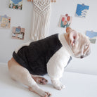 Französische Bulldogge in flauschigem Hundepullover, sitzt vor Wand mit Dekorationen. Haustiermode, Hundebekleidung, stilvolle Hundekleidung.