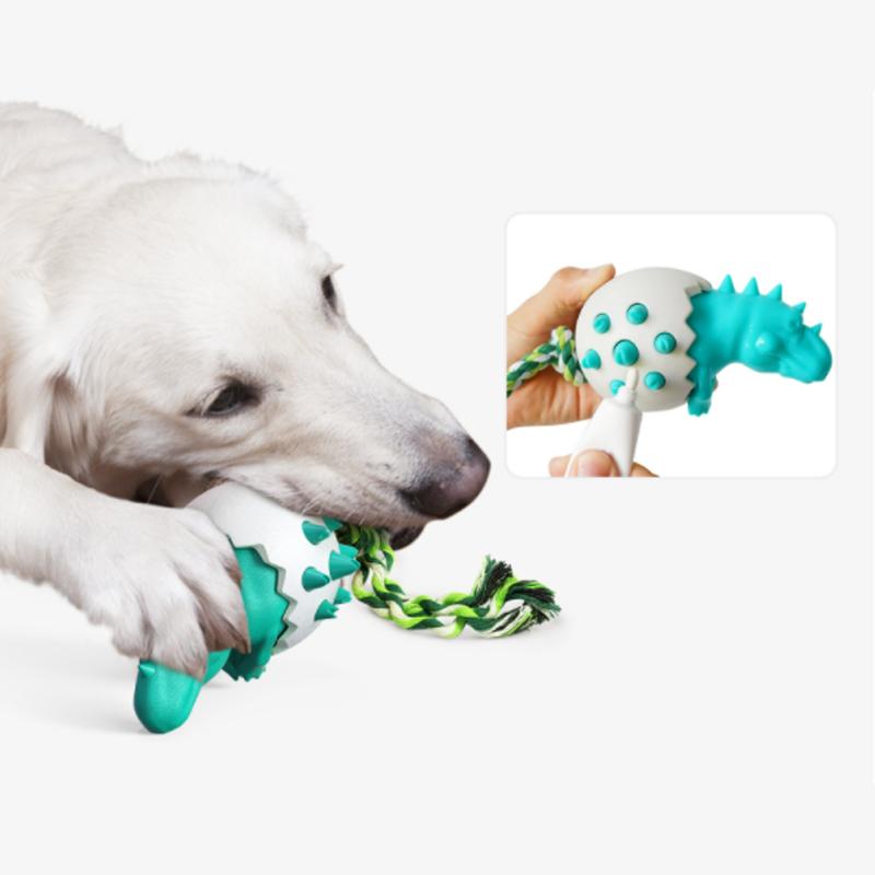 Hund spielt mit robustem, grün-weißem Kauspielzeug in Dinosaurierform. Perfekt für Zahnpflege und interaktives Spiel. Hundezubehör, langlebig.