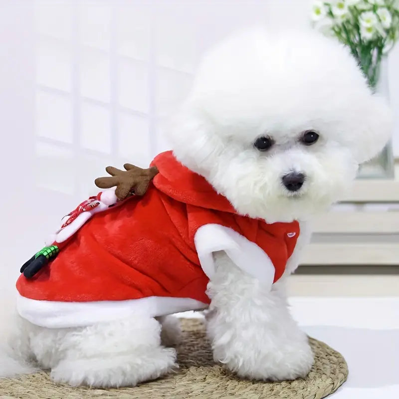 Weißer Pudel in rotem Weihnachtsmantel mit Rentier-Design, sitzt auf Teppich. Perfekt für festliche Haustiermode, Hundebekleidung, Winteroutfit.