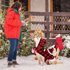 Frau im roten Mantel mit Hund im karierten Weihnachtsmantel im Schnee vor festlich geschmücktem Haus. Wintermode, Haustierkleidung, Weihnachten.