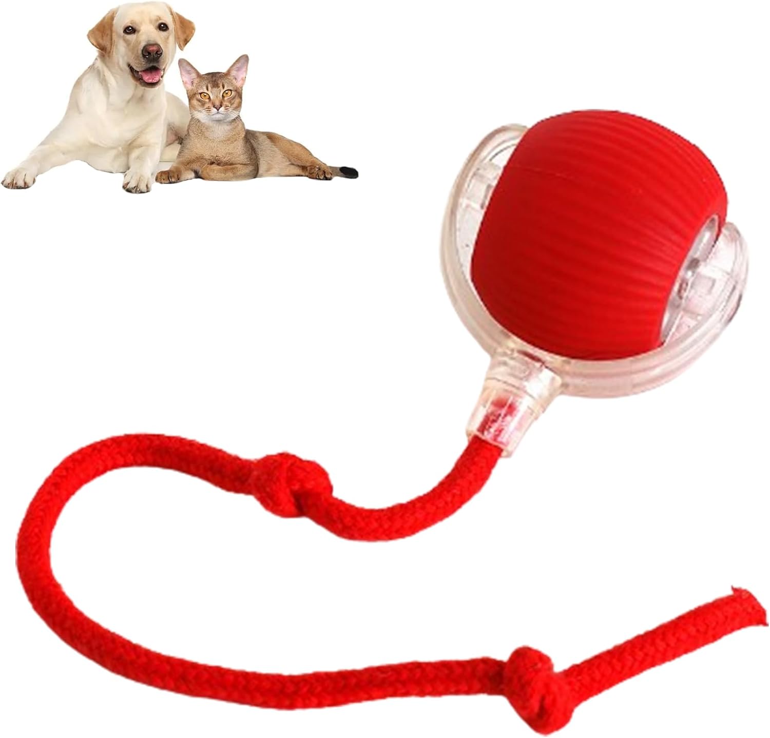 Rotes Hundespielzeug mit Seil, ideal für interaktives Spielen. Perfekt für Hunde und Katzen, langlebig und fördert die Zahngesundheit.