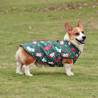 Corgi im Weihnachtsmantel auf grünem Rasen. Hundemantel, Wintermode für Hunde, festliches Design, Haustierbekleidung, Outdoor-Hundejacke.