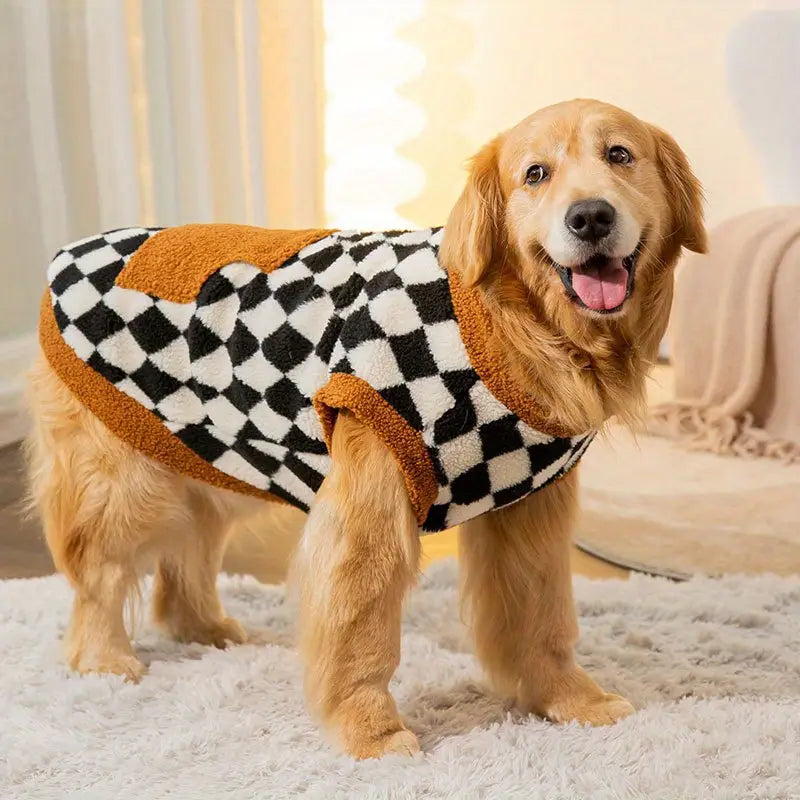 Golden Retriever in kariertem Hundepullover, gemütlich auf Teppich. Perfekt für Haustiermode, Hundebekleidung, stilvolle Hundejacken.