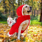 Labrador im roten Hundekostüm mit Yoda-Puppe im Herbstwald. Perfektes Halloween-Outfit für Hunde, ideal für lustige Haustierfotos.