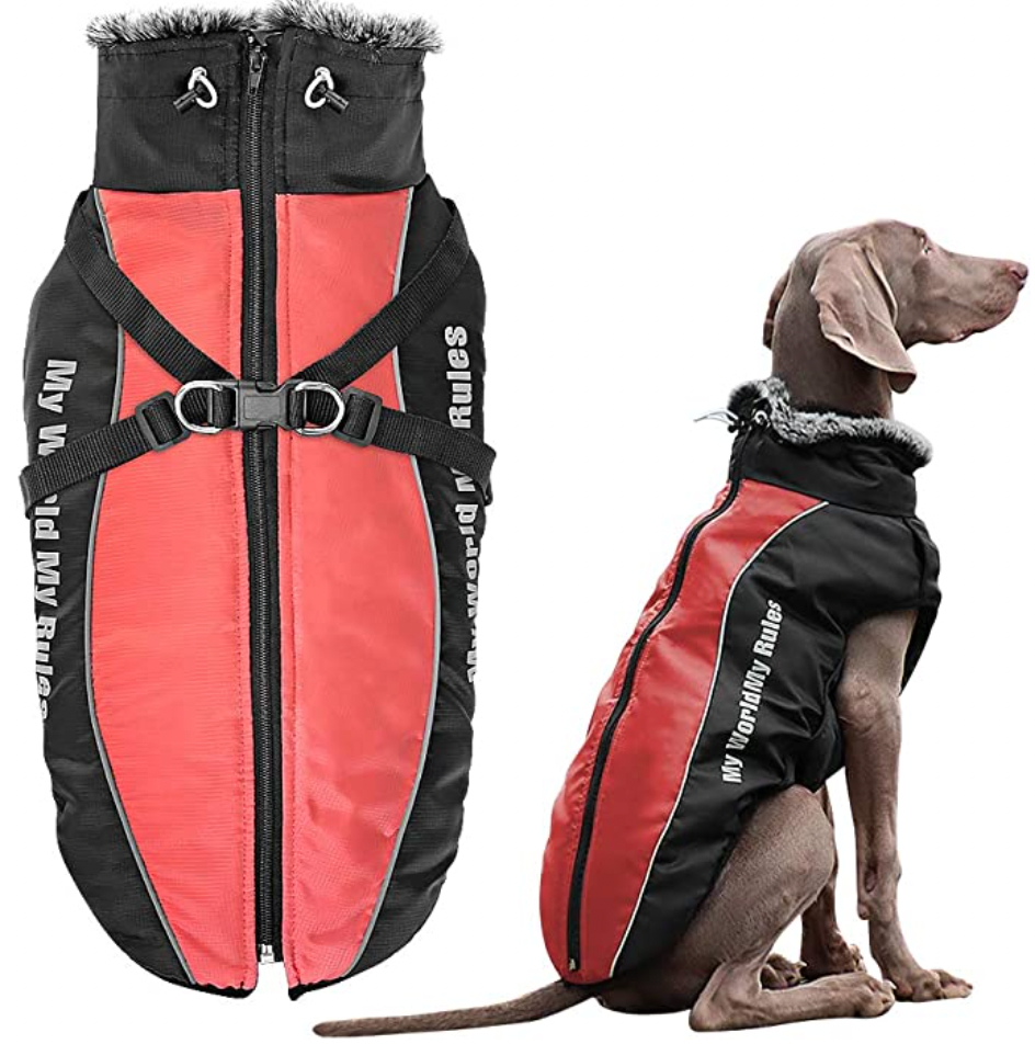 Allwetter Hundejacke mit Innenfutter und integriertem Geschirr in Rot, Testsieger. Ideal für kalte Tage, wasserdicht und komfortabel.