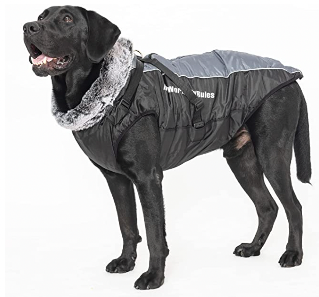 Wasserdichte Hundejacke mit Innenfutter und integriertem Geschirr, grau. Perfekt für alle Wetterbedingungen. Komfort und Schutz für Hunde.