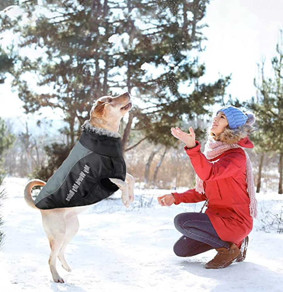 Wasserdichte Hundejacke mit Innenfutter und integriertem Geschirr in Grau, ideal für kaltes Wetter, bietet Komfort und Schutz für Hunde.