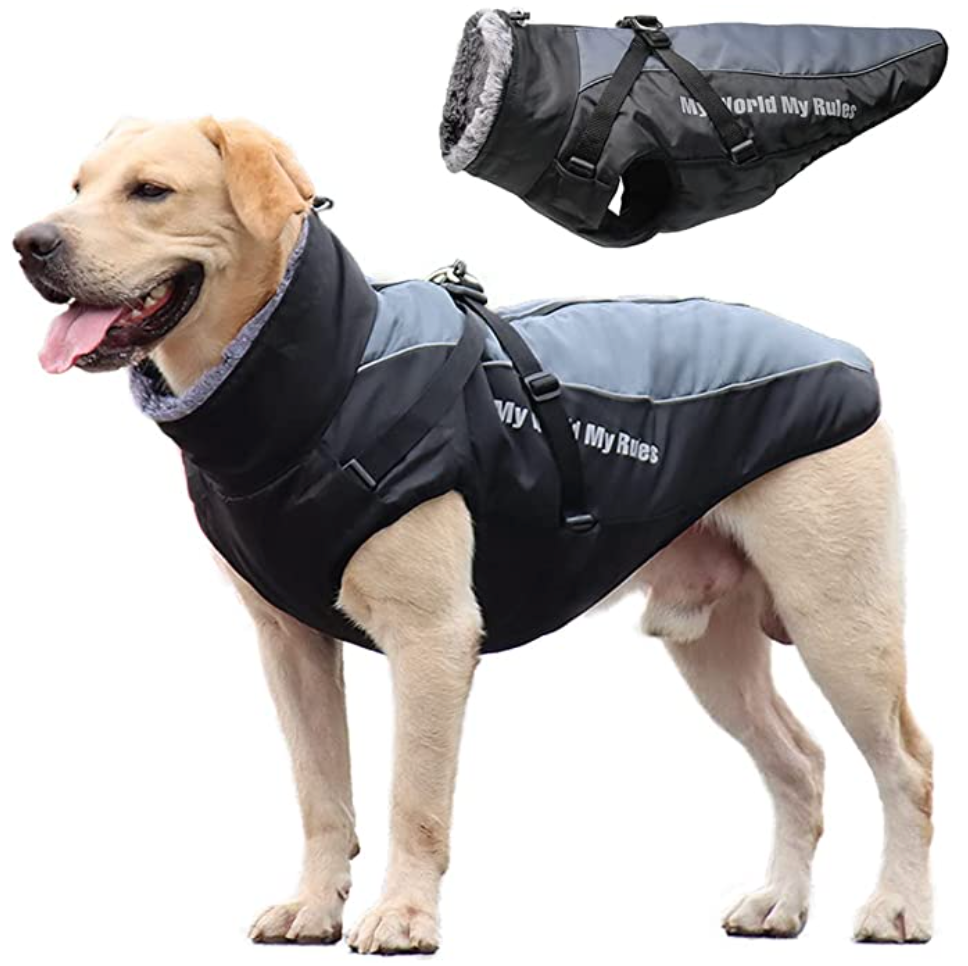 Wasserdichte Hundejacke mit Innenfutter und integriertem Geschirr, grau-blau. Ideal für alle Wetterbedingungen, komfortabel und schützend.