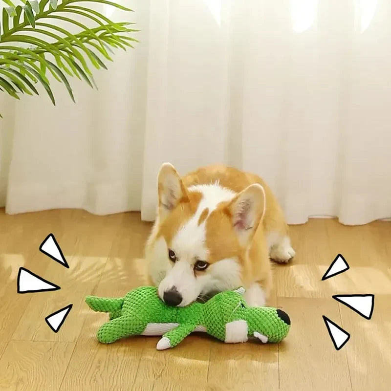 Corgi spielt mit grünem interaktivem Hundespielzeug. Perfekt für Haustierbeschäftigung, langlebig und unterhaltsam. Ideal für aktive Hunde.