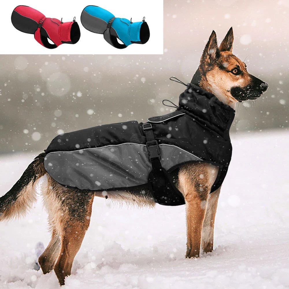 Hundemantel wasserdicht, warm und winddicht, ideal für kalte Wintertage. Verfügbar in Rot und Blau. Perfekt für Outdoor-Aktivitäten.