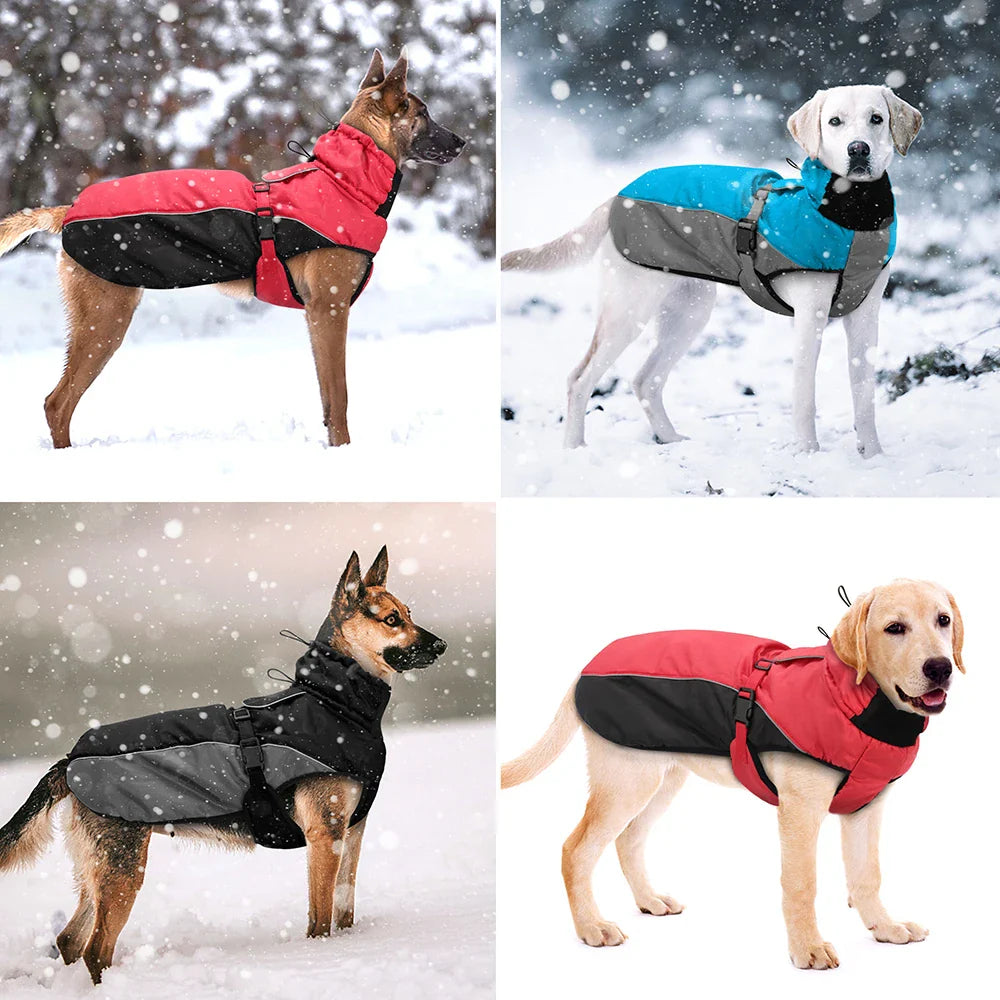 Hunde in Winterjacken, wasserdicht und warm, ideal für kaltes Wetter. Perfekt für Spaziergänge im Schnee. Hundebekleidung, Wintermantel.