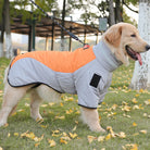 Golden Retriever im Herbstpark trägt eine warme, orange-graue Hundejacke. Perfekte Hundebekleidung für kalte Tage. Hundemode, Herbstspaziergang.