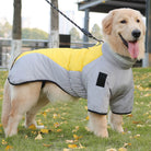 Goldener Retriever im warmen, gelben Hundemantel auf grünem Rasen. Perfekte Hundebekleidung für kalte Tage. Haustiermode, Hundejacke, Outdoor.