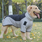 Hund in grauem Wintermantel im Park, Herbstlaub, Golden Retriever, Hundebekleidung, Outdoor-Hundemantel, warm, stilvoll, bequem.