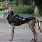 Allwetter-Hundejacke mit Innenfutter, ideal für kaltes Wetter, wasserdicht, reflektierend, komfortabel, stilvoll, langlebig, Outdoor-Hundebekleidung.