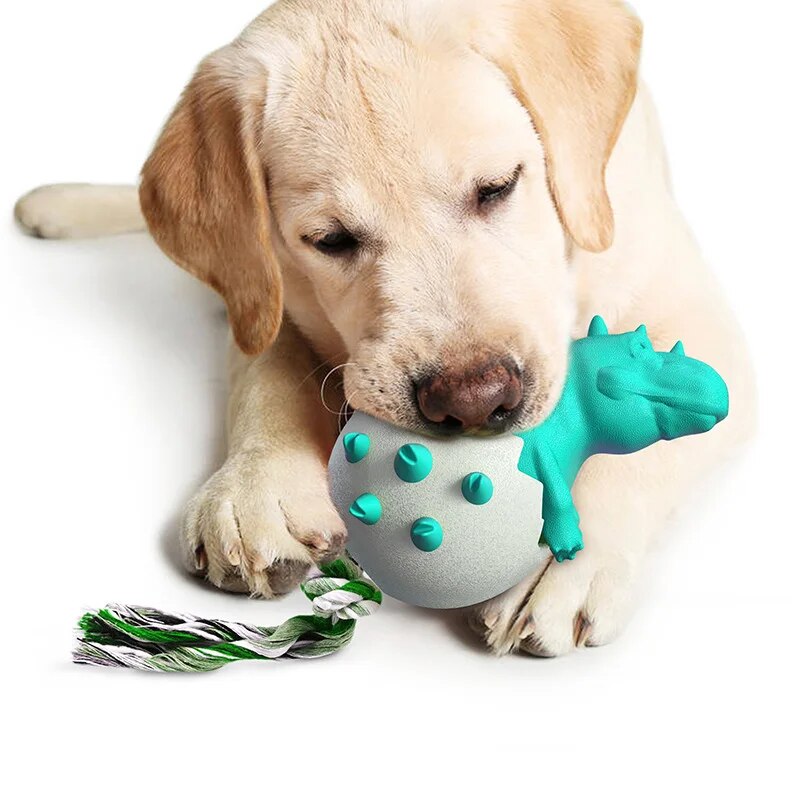 Labrador-Welpe spielt mit robustem, grünem Dinosaurier-Hundespielzeug. Perfekt für Kauen und Zahnpflege. Ideal für aktive Hunde.