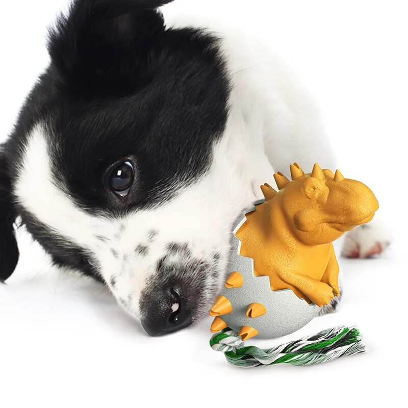 Schwarz-weißer Hund spielt mit gelbem Dinosaurier-Spielzeug. Perfektes Hundespielzeug, robust und interaktiv. Ideal für Haustierliebhaber.