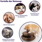 Katzenspielzeug aus Pappe in Akkordeonform, fördert Zahngesundheit und Krallenpflege, reduziert Möbelbeschädigung, verringert Katzenkämpfe.