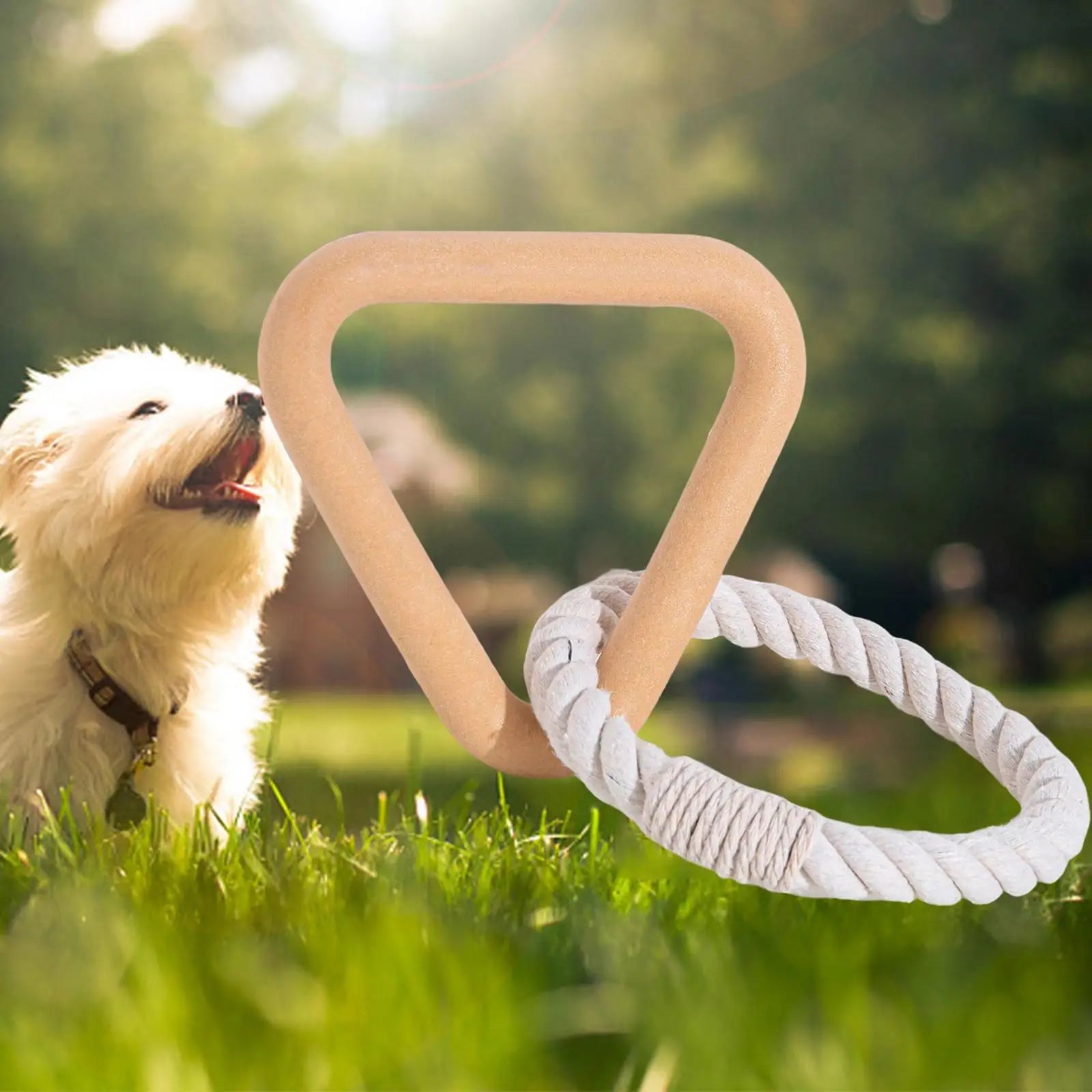 Dreieckiger Hundekauknochen aus Holz mit Seil, ideal für Zahnpflege und Spielspaß. Perfektes Hundespielzeug für kleine bis mittelgroße Hunde.