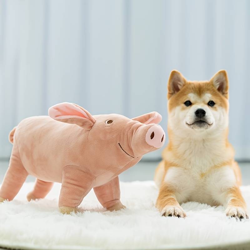 Kuscheltierschwein und Shiba Inu Hund auf weißem Teppich. Perfektes Geschenk für Tierliebhaber. Weiches Plüschtier, ideal für Kinderzimmer.