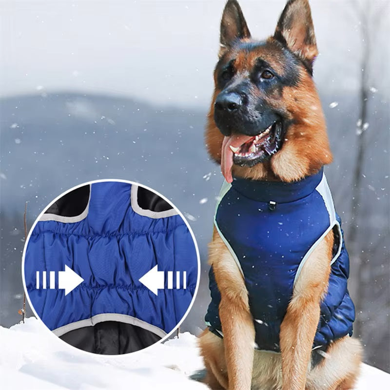 Deutscher Schäferhund im blauen Hundemantel, ideal für kaltes Wetter. Wasserdicht, warm, bequem. Perfekt für Outdoor-Aktivitäten im Winter.