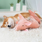 Shiba Inu schläft auf rosa Plüschschwein, weicher Teppich, gemütliches Zuhause, Haustierfreund, niedlicher Hund, entspannte Atmosphäre.