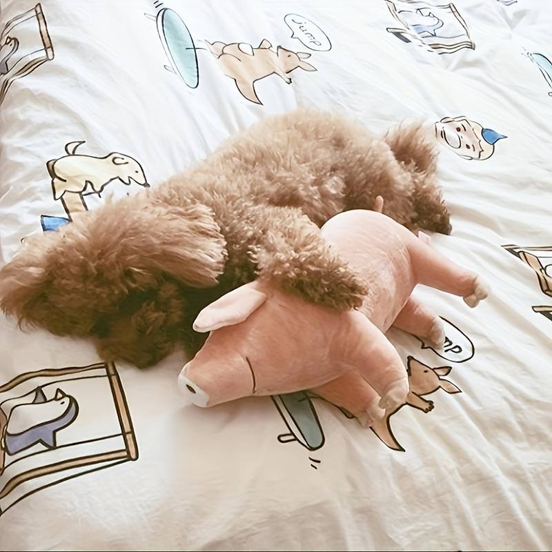 Kuscheliger brauner Pudel schläft auf einem Bett mit einem rosa Plüschschwein. Hund, Plüschtier, Schlaf, Bettwäsche, Haustierfreundschaft.