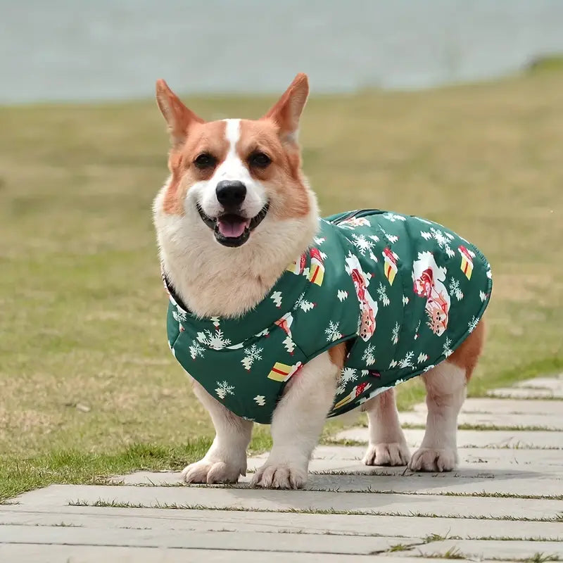 Corgi im grünen Hundemantel mit Weihnachtsmotiv, stehend auf einem Gehweg im Freien. Perfekte Hundebekleidung für kalte Wintertage.