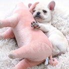 Französische Bulldogge-Welpe kuschelt mit rosa Plüschspielzeug auf flauschigem Teppich. Niedlicher Hund, Haustier, Spielzeug, Entspannung.